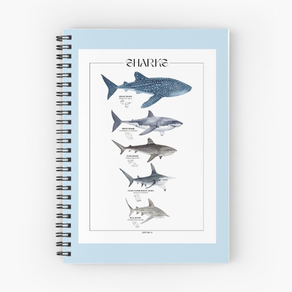 Item preview, SHARKS LENGTH, NAMES AND TEETH-line white designed and sold by BEATRIZ ABAITUA.