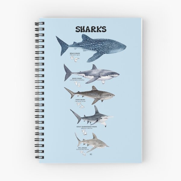 Item preview, SHARKS LENGTH, NAMES AND TEETH-title designed and sold by BEATRIZ ABAITUA.