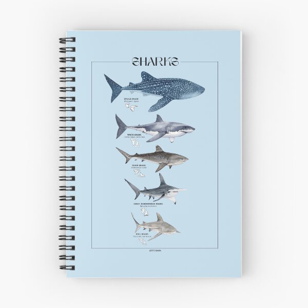 Item preview, SHARKS LENGTH, NAMES AND TEETH-line  designed and sold by BEATRIZ ABAITUA.