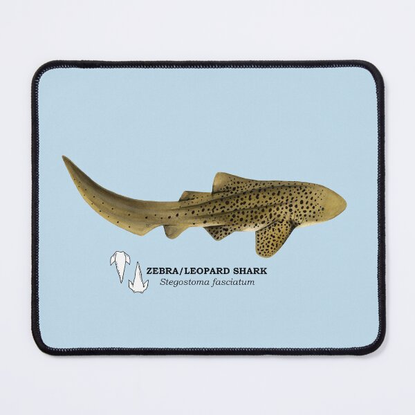 Item preview, ZEBRA/LEOPARD SHARK-Stegostoma fasciatum (name and teeth) designed and sold by BEATRIZ ABAITUA.