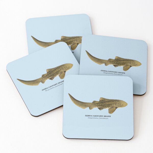 Item preview, ZEBRA/LEOPARD SHARK-Stegostoma fasciatum (name) designed and sold by BEATRIZ ABAITUA.