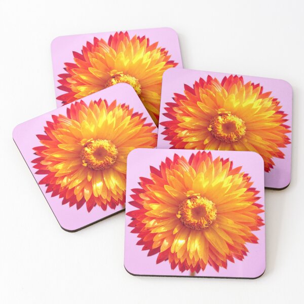 Item preview, Strawflower Sun designed and sold by birgitsfotoshop.