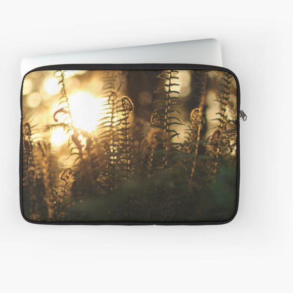 Fern Gully at Dusk Laptop Sleeve