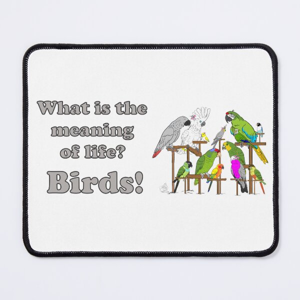 Item preview, What's the Meaning of Life? Birds! designed and sold by Laughing Parrot Studio.