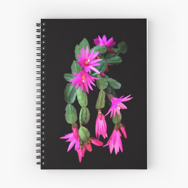 Item preview, Zygocactus Truncatus  a.k.a. Christmas Cactus designed and sold by heatherfriedman.