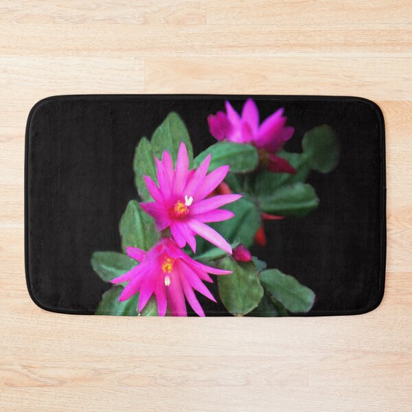 Item preview, Zygocactus Truncatus  a.k.a. Christmas Cactus designed and sold by heatherfriedman.