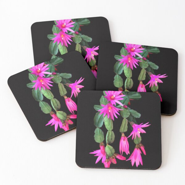 Item preview, Zygocactus Truncatus  a.k.a. Christmas Cactus designed and sold by heatherfriedman.
