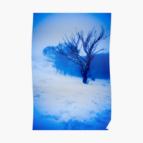 Tree in Ground Cloud (Thinking Outside the Box 101) Poster