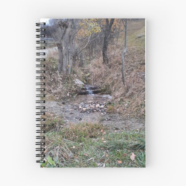 Item preview, Tranquil Howard University aStream in Autumn Landscape designed and sold by dishcutnes.