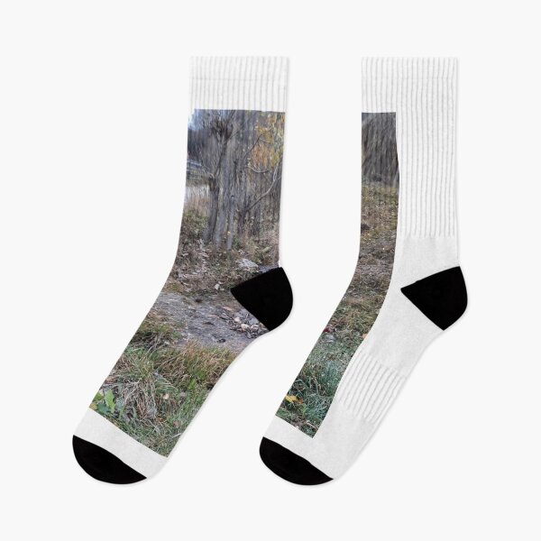 Item preview, Tranquil Howard University aStream in Autumn Landscape designed and sold by dishcutnes.