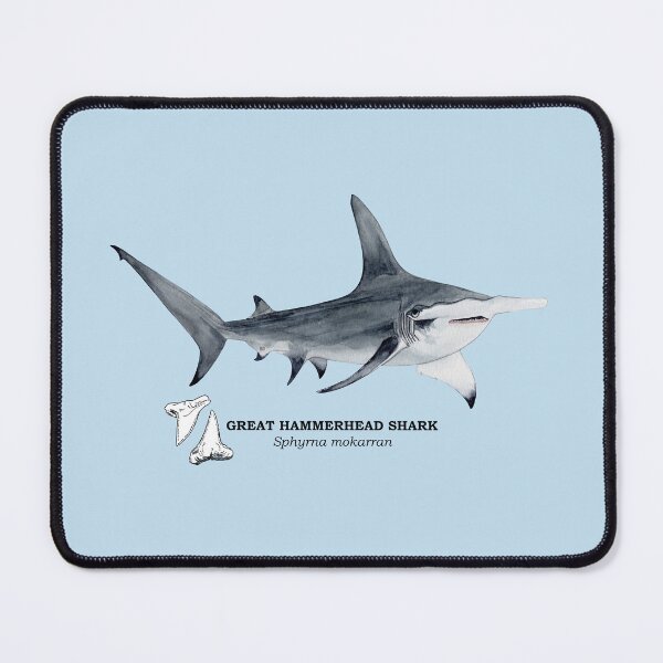 Item preview, GREAT HAMMERHEAD SHARK-Sphyrna mokarran (name and teeth) designed and sold by BEATRIZ ABAITUA.