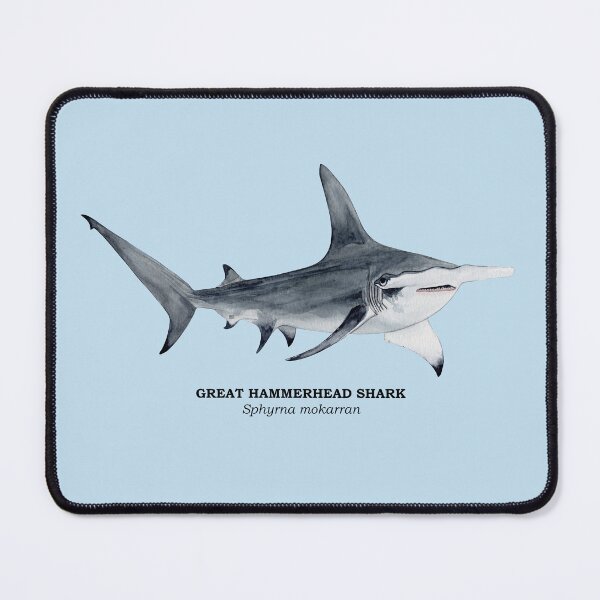 Item preview, GREAT HAMMERHEAD SHARK-Sphyrna mokarran (name) designed and sold by BEATRIZ ABAITUA.