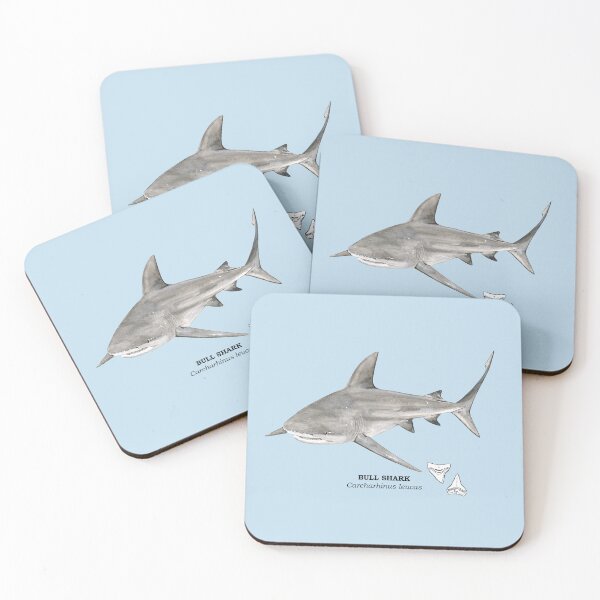 Item preview, BULL SHARK-Carcharhinus leucas (name and teeth) designed and sold by BEATRIZ ABAITUA.