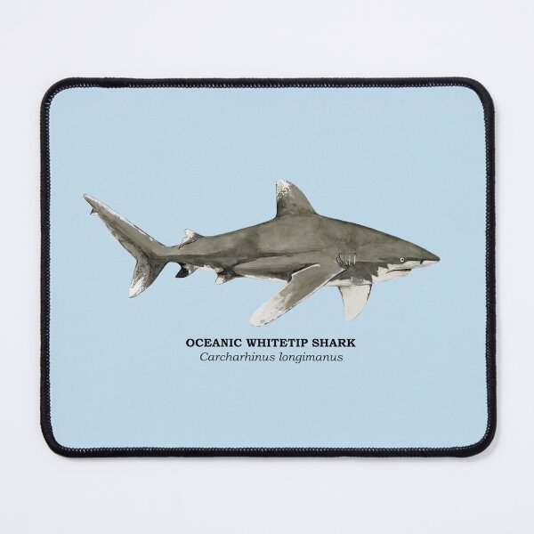 Item preview, OCEANIC WHITETIP SHARK-Carcharhinus longimanus (name) designed and sold by BEATRIZ ABAITUA.