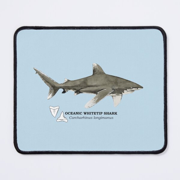 Item preview, OCEANIC WHITETIP SHARK-Carcharhinus longimanus (name and teeth) designed and sold by BEATRIZ ABAITUA.