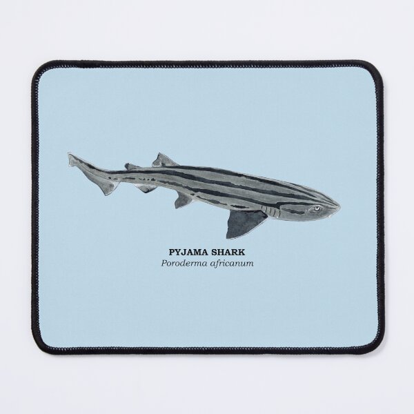 Item preview, PYJAMA SHARK-Poroderma africanum (name) designed and sold by BEATRIZ ABAITUA.