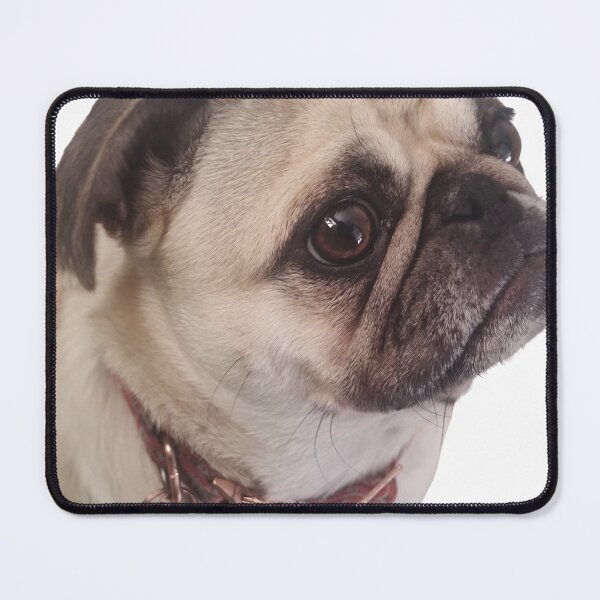 Item preview, This is fine : Pug life designed and sold by PuggiesWithMugs.