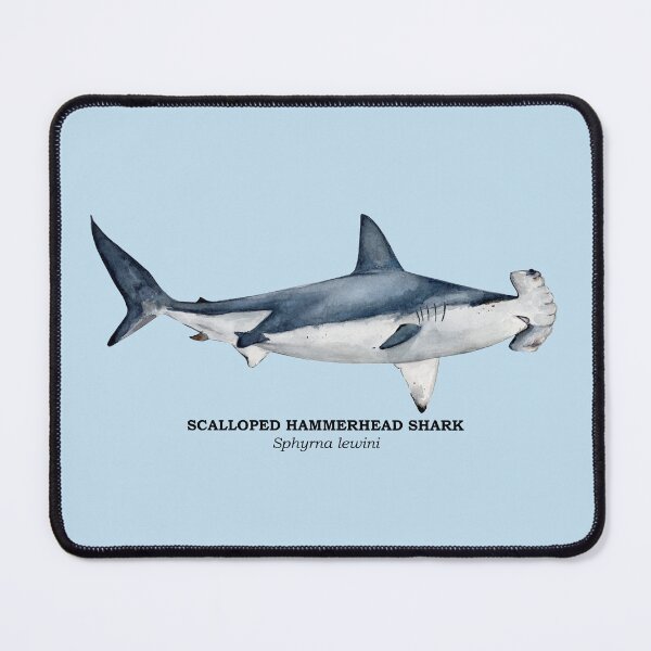 Item preview, SCALLOPED HAMMERHEAD SHARK-Sphyrna lewini (name) designed and sold by BEATRIZ ABAITUA.