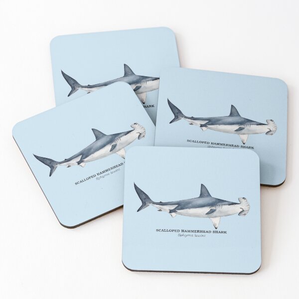 Item preview, SCALLOPED HAMMERHEAD SHARK-Sphyrna lewini (name) designed and sold by BEATRIZ ABAITUA.