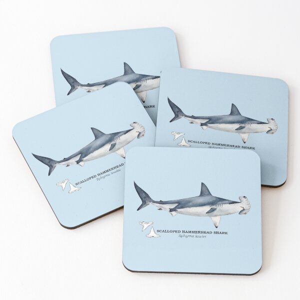 Item preview, SCALLOPED HAMMERHEAD SHARK-Sphyrna lewini (name and teeth) designed and sold by BEATRIZ ABAITUA.
