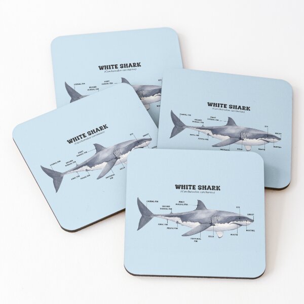 Item preview, WHITE SHARK INFOGRAPHIC designed and sold by BEATRIZ ABAITUA.