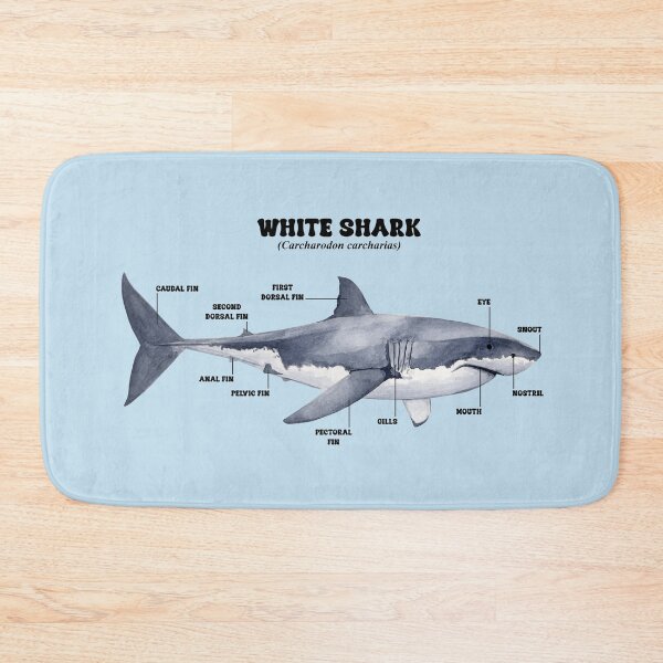 Item preview, WHITE SHARK INFOGRAPHIC designed and sold by BEATRIZ ABAITUA.