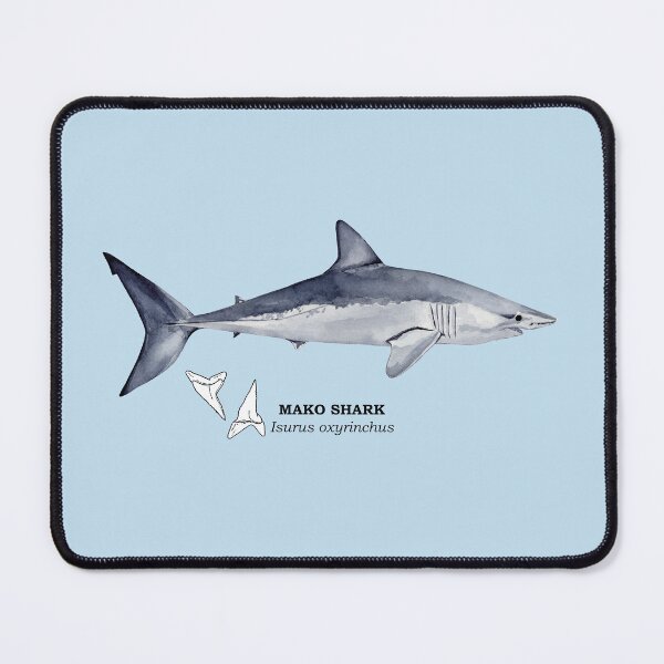 Item preview, MAKO SHARK-Isurus oxyrinchus (name and teeth) designed and sold by BEATRIZ ABAITUA.