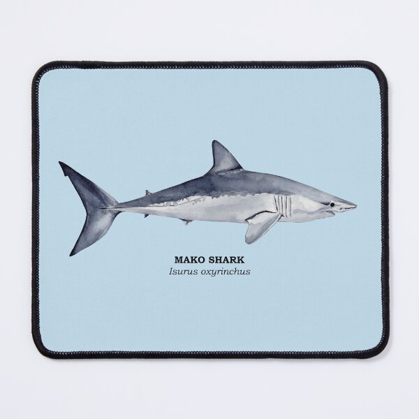 Item preview, MAKO SHARK-Isurus oxyrinchus (name) designed and sold by BEATRIZ ABAITUA.