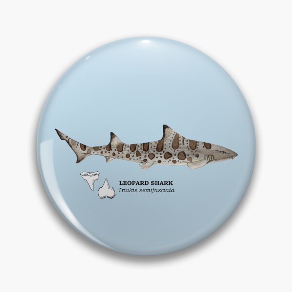 Item preview, LEOPARD SHARK-Triakis semifasciata (name and teeth) designed and sold by BEATRIZ ABAITUA.