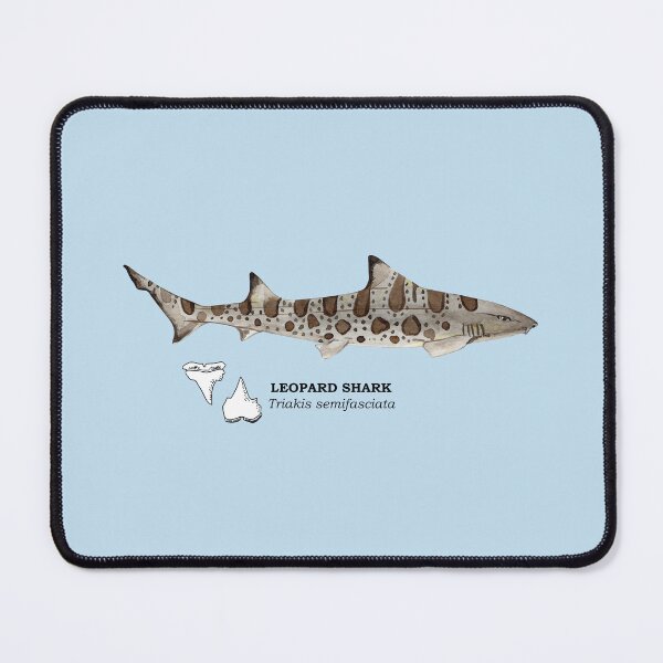 Item preview, LEOPARD SHARK-Triakis semifasciata (name and teeth) designed and sold by BEATRIZ ABAITUA.
