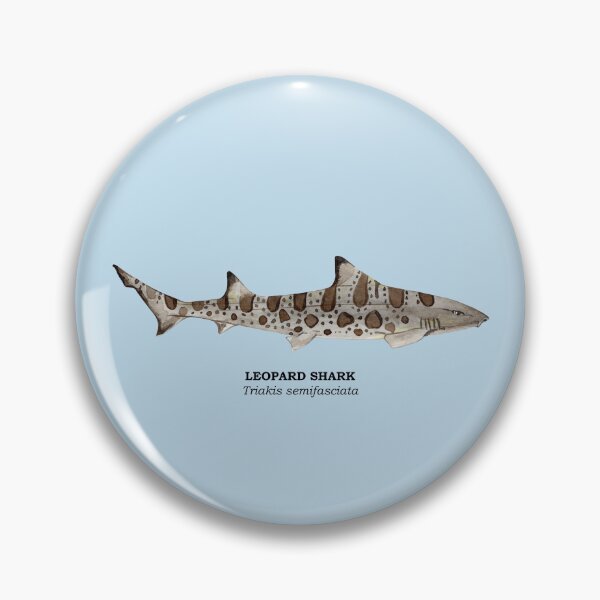 Item preview, LEOPARD SHARK-Triakis semifasciata (name) designed and sold by BEATRIZ ABAITUA.