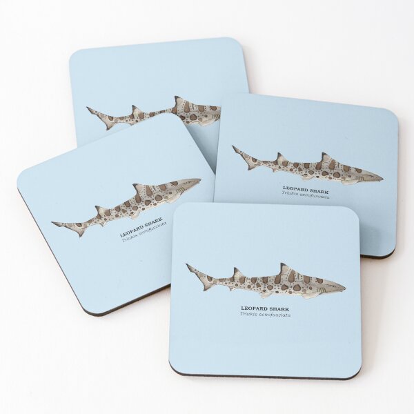 Item preview, LEOPARD SHARK-Triakis semifasciata (name) designed and sold by BEATRIZ ABAITUA.