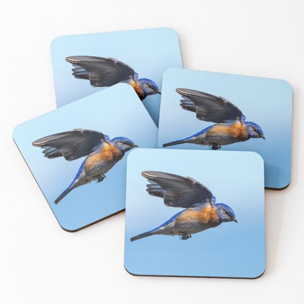 Item preview, Western Bluebird Short Hop designed and sold by DawsonImages.