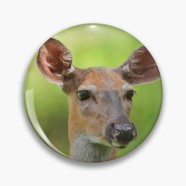 Item preview, A female whitetail deer on the lookout designed and sold by Production Art Manon Meilleur.