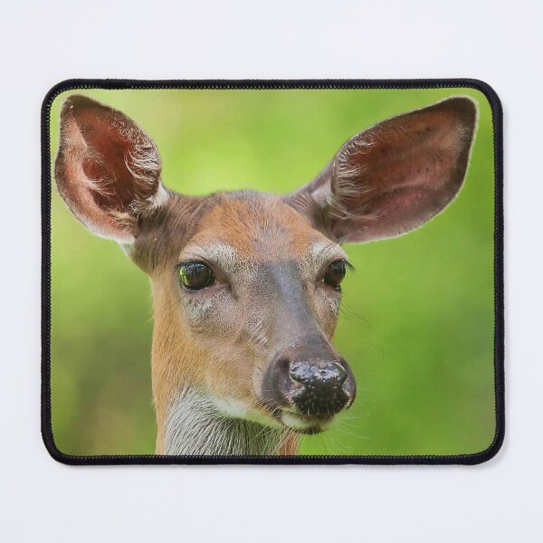 Item preview, A female whitetail deer on the lookout designed and sold by Production Art Manon Meilleur.