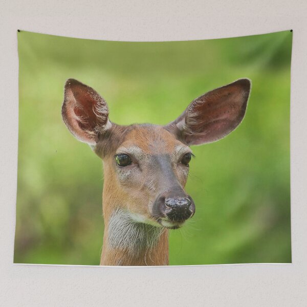 Item preview, A female whitetail deer on the lookout designed and sold by Production Art Manon Meilleur.
