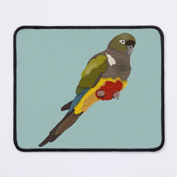 Item preview, Patagonian Conure (Burrowing Parrot/Parakeet) designed and sold by BDBirds.