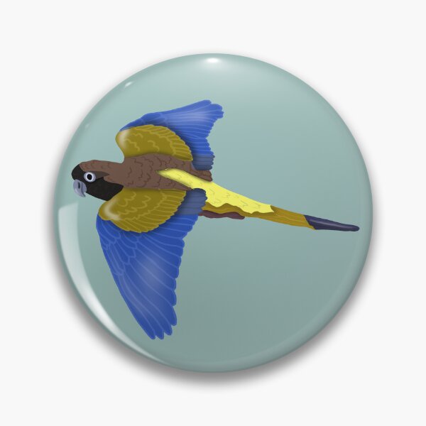 Item preview, Patagonian Conure in Flight (Burrowing Parrot/Parakeet) designed and sold by BDBirds.