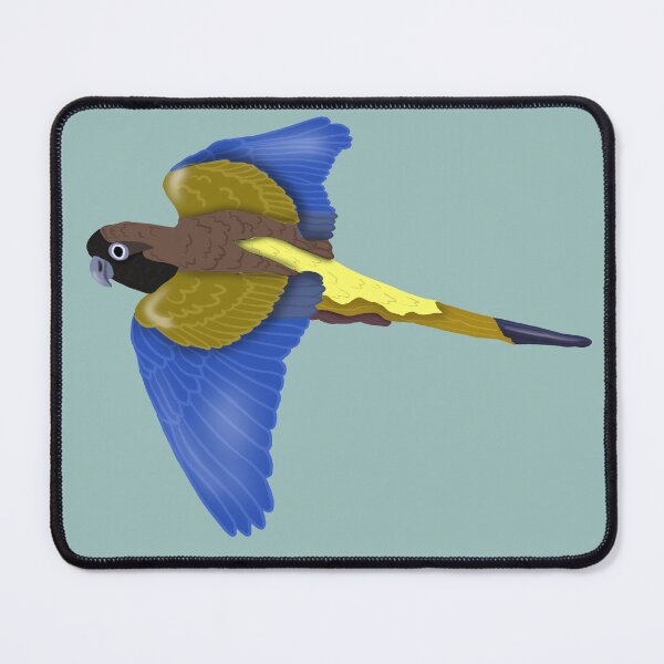 Item preview, Patagonian Conure in Flight (Burrowing Parrot/Parakeet) designed and sold by BDBirds.
