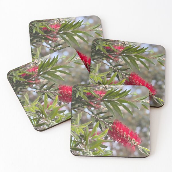 Item preview, Red Bottlebrush in flower designed and sold by smh2.