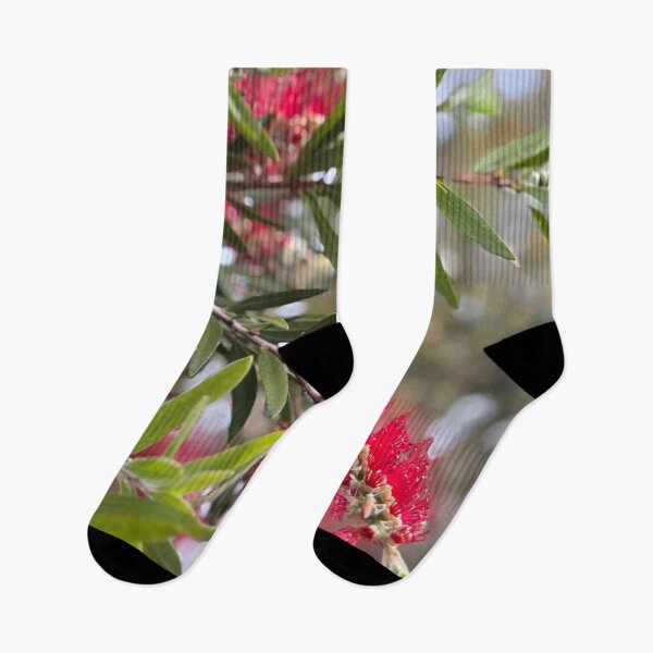 Item preview, Red Bottlebrush in flower designed and sold by smh2.
