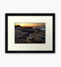 Survival Framed Print