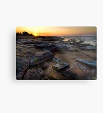 Survival Metal Print