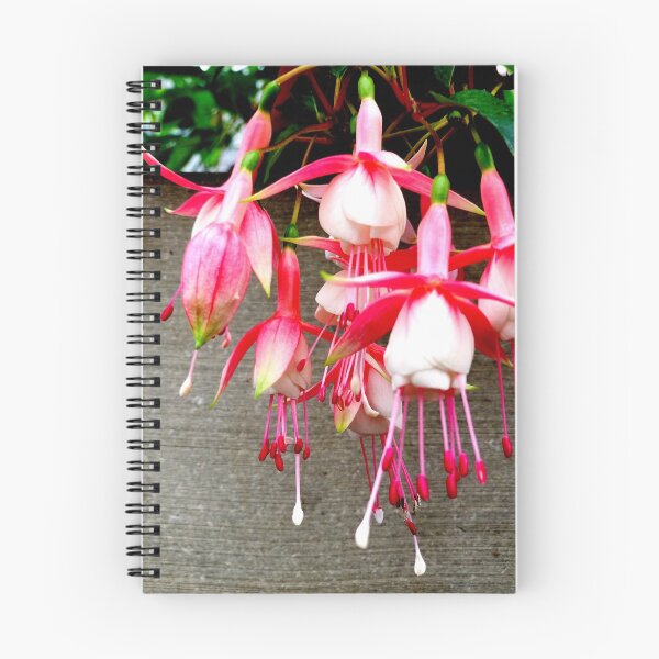 Item preview, Fuchsia Flower designed and sold by HowlingFantasy.