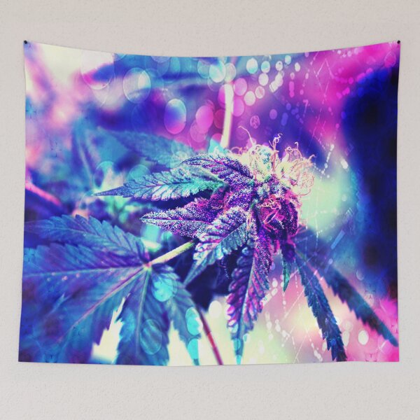 Item preview, Spider Webs and Buds designed and sold by PhrozenPhotos.