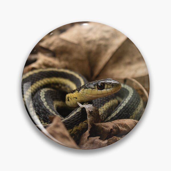 Item preview, Snake designed and sold by HectorCantres.