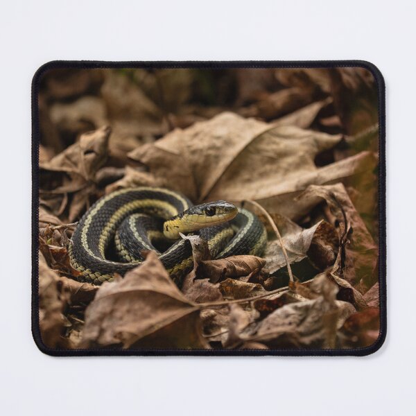 Item preview, Snake designed and sold by HectorCantres.