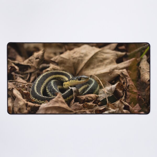 Item preview, Snake designed and sold by HectorCantres.
