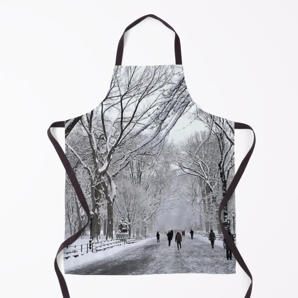 Item preview, Central Park 2016 designed and sold by NYConlineStore.