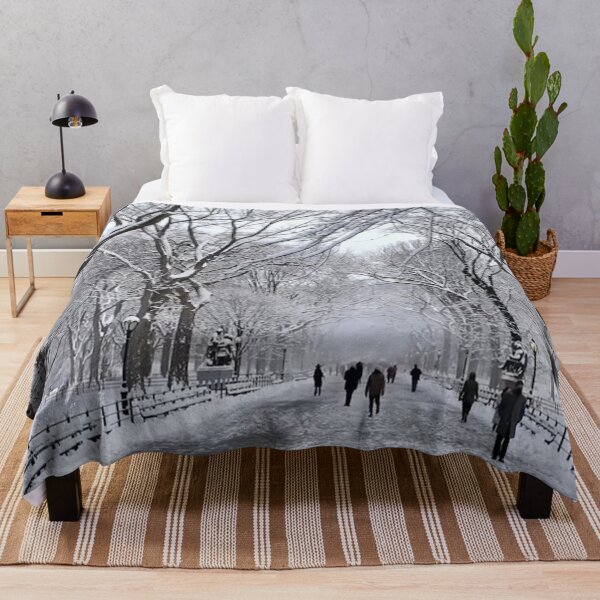 Item preview, Central Park 2016 designed and sold by NYConlineStore.